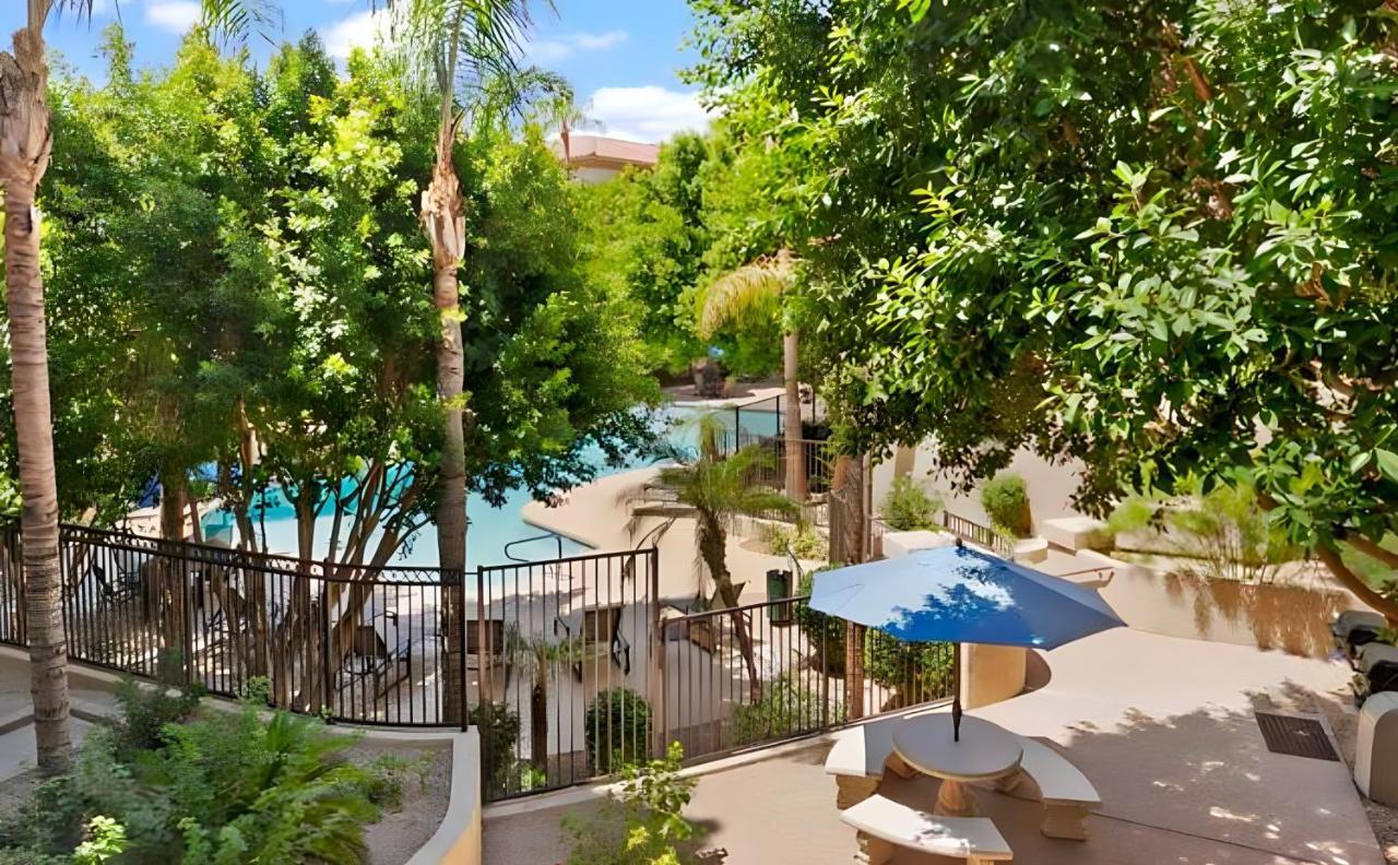 Biltmore Bliss Desert Retreat! フェニックス エクステリア 写真