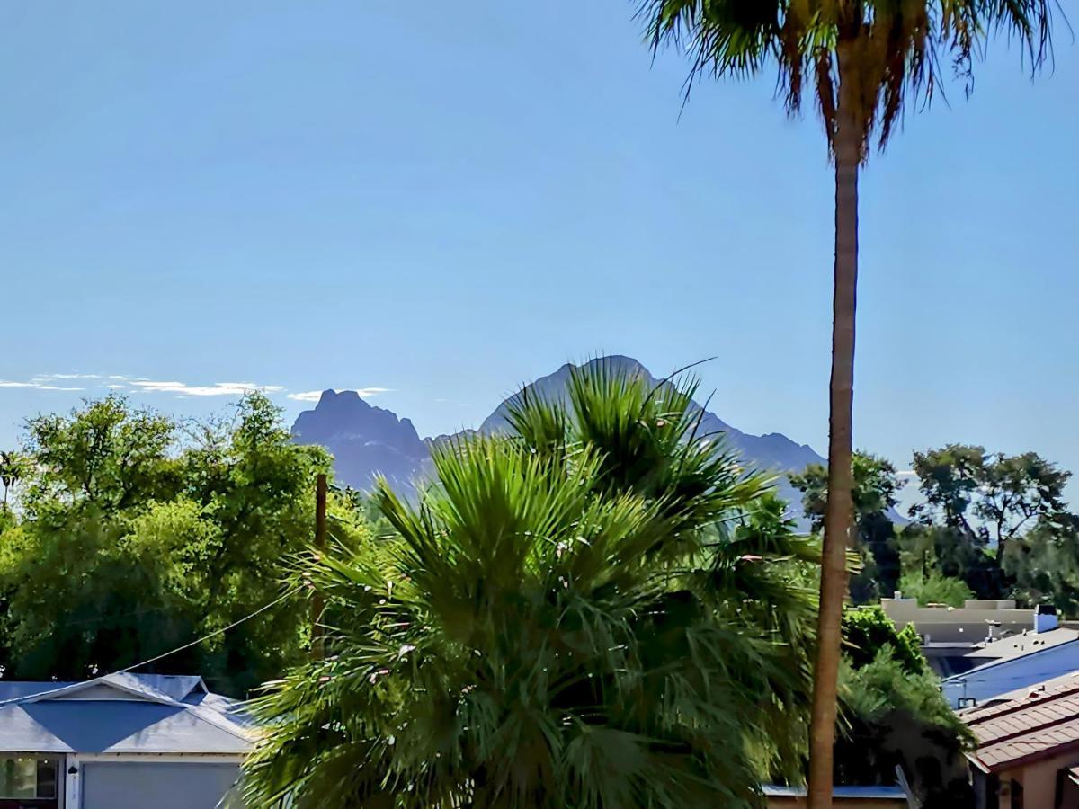 Biltmore Bliss Desert Retreat! フェニックス エクステリア 写真